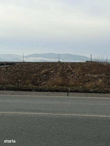 Teren de 10000 mp, în Nicolae Bălcescu
