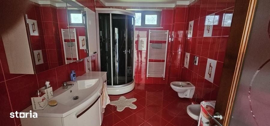 Casă cu 5 camere cu Teren 3600 Mp în Bâlca