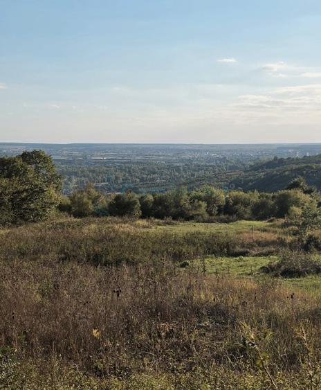 Teren agricol extravilan de 2600 mp, în Dealuri Oradea
