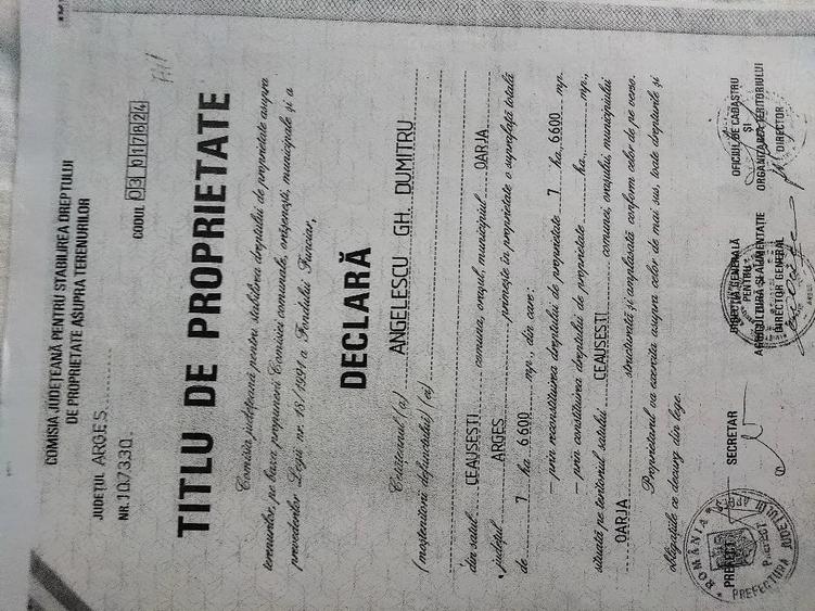 Teren de 40000 mp, în Bradu
