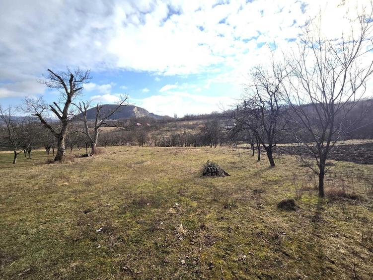 Teren de 3800 mp, în Moigrad-Porolissum