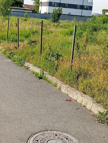 Teren Construcții intravilan de 5000 mp, în Giulești