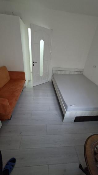 Apartament cu 2 camere decomandat în Nufărul