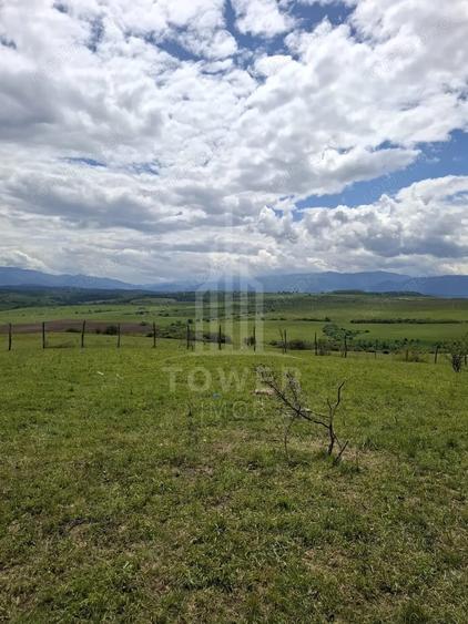 Teren de 11500 mp, în Daia