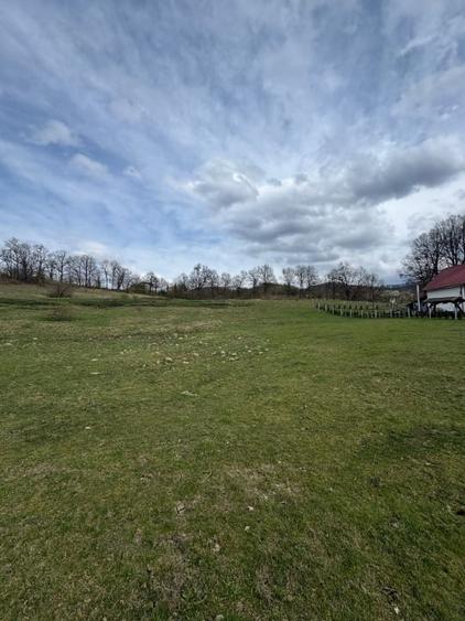 Teren Construcții intravilan de 11700 mp, în Baia Sprie