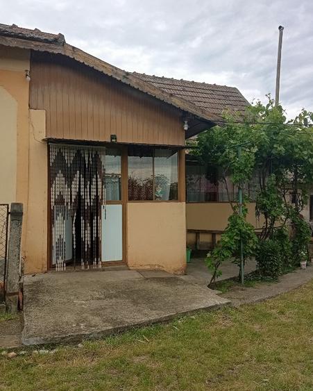 Casa de Vânzare, Redea Olt - 2