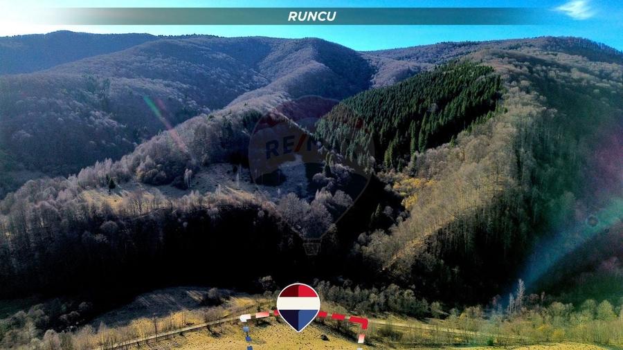Teren agricol extravilan de 16466 mp, în Mara
