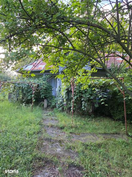 Teren de 2500 mp, în Central