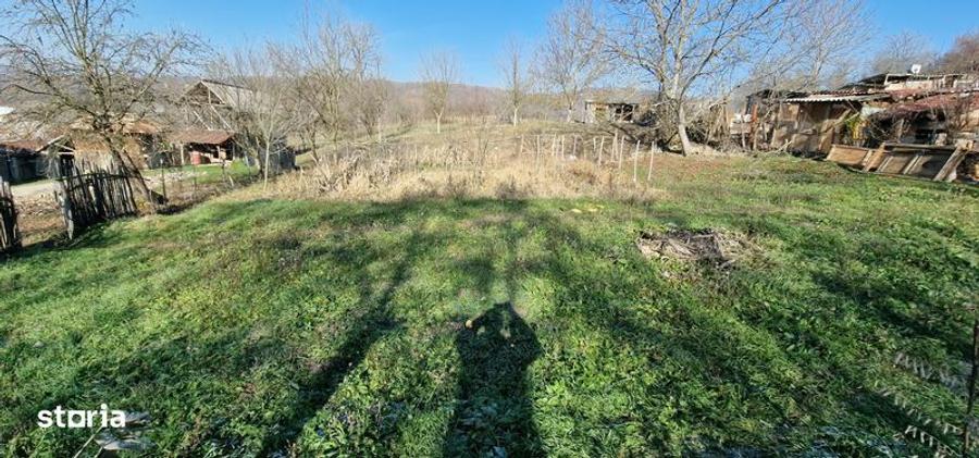 Teren de 500 mp, în Central