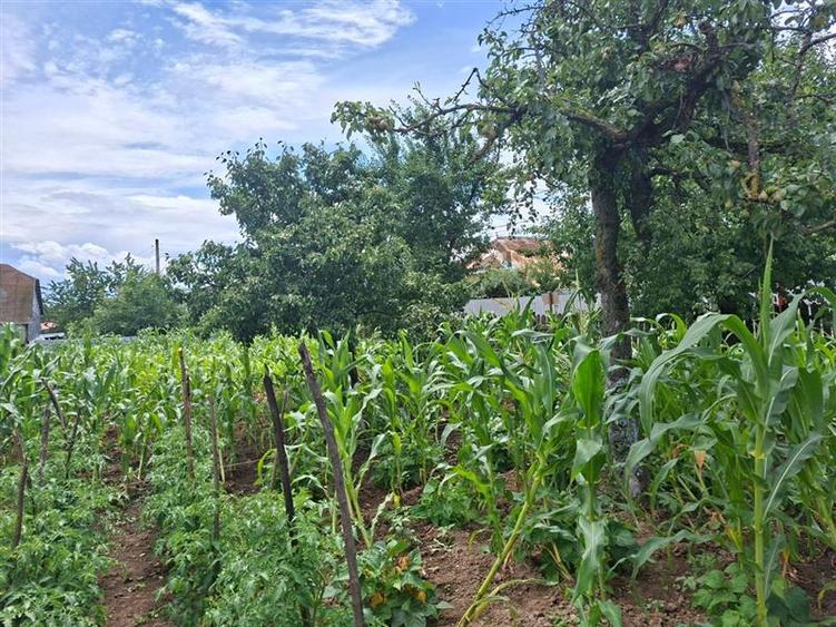 Teren intravilan de 1000 mp, în 9 Mai