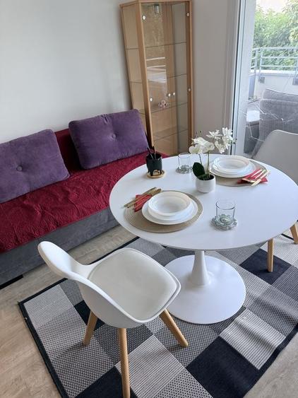 Inchiriez apartament mobilat in Strasbourg la doua studente - 2