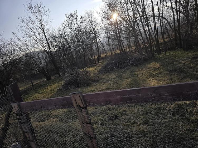 Teren de 806 mp, în Bunești