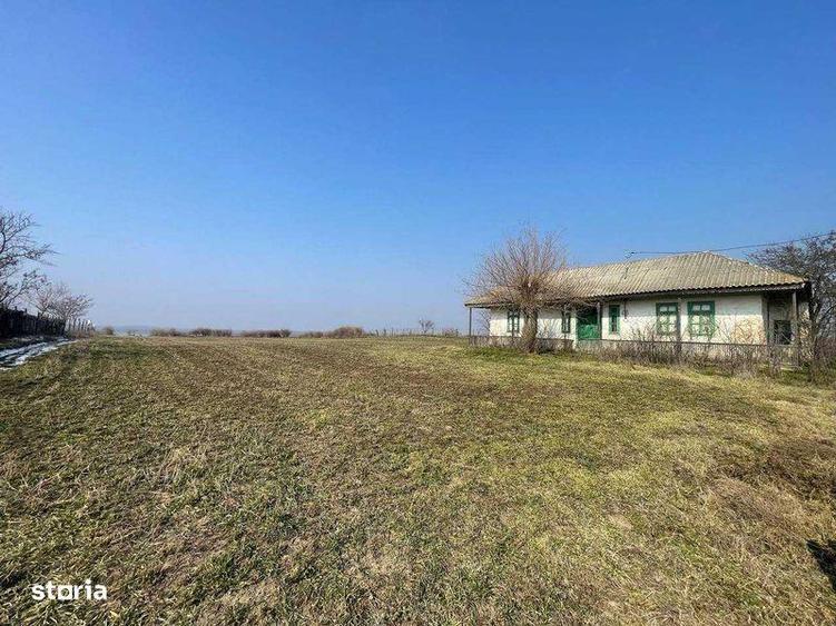 Teren de 3802 mp, în Dăeni