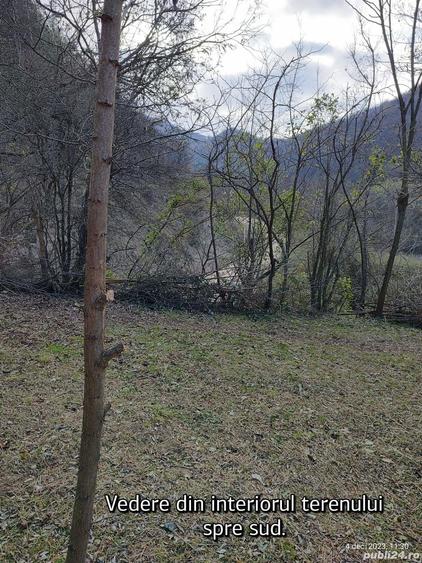 Teren în Pecinișca