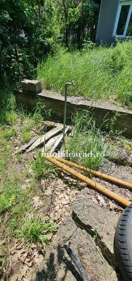 Teren Construcții intravilan de 10000 mp, în Sânleani
