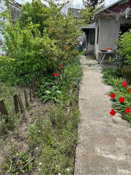 Teren de 610 mp, în Băneasa