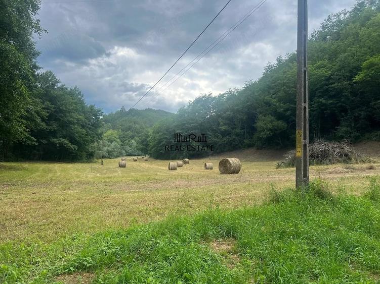 Teren de 5800 mp, în Podele