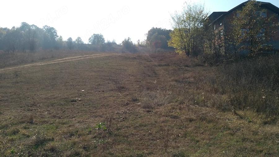 Teren de 4900 mp, în Leamna de Sus