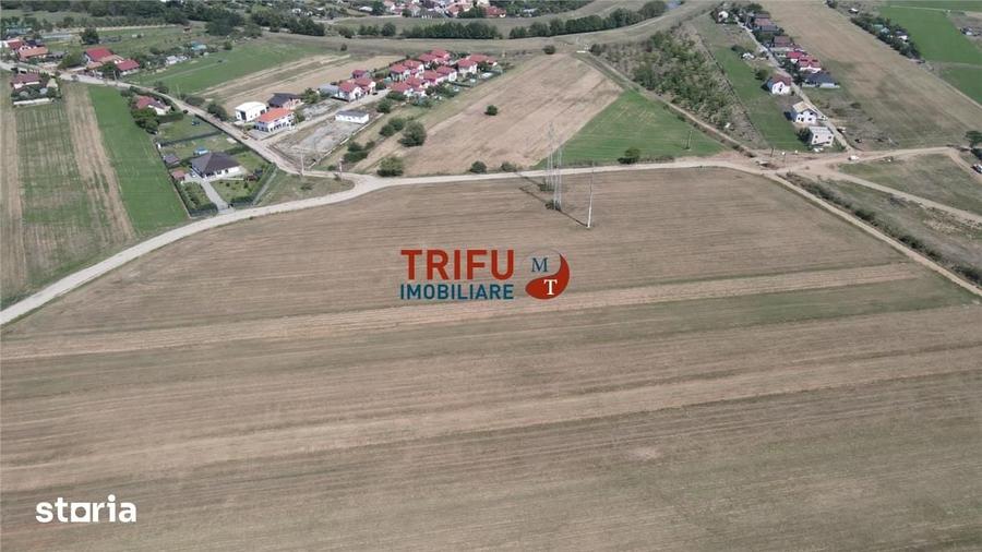 Teren de 2350 mp, în Bărăbanț