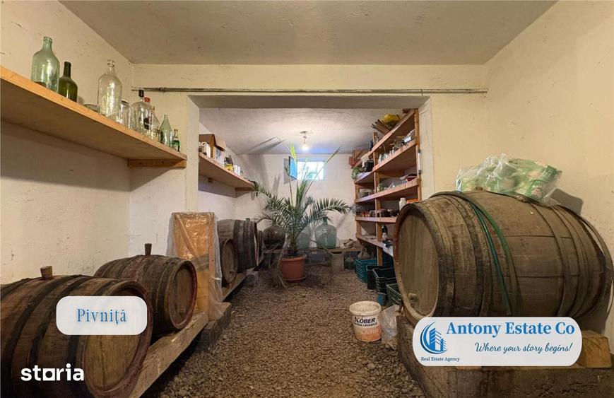 Antony Estate | Casa cu Livada proprietate deosebita, 300 pomi fruct - 2