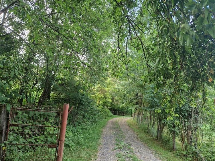 Teren de 20000 mp, în Central