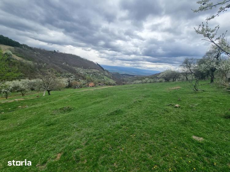 Teren de 7000 mp, în Cetate