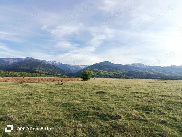 Teren de 2000 mp, în Berivoi