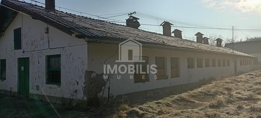 Teren Construcții intravilan de 13134 mp, în Budiului