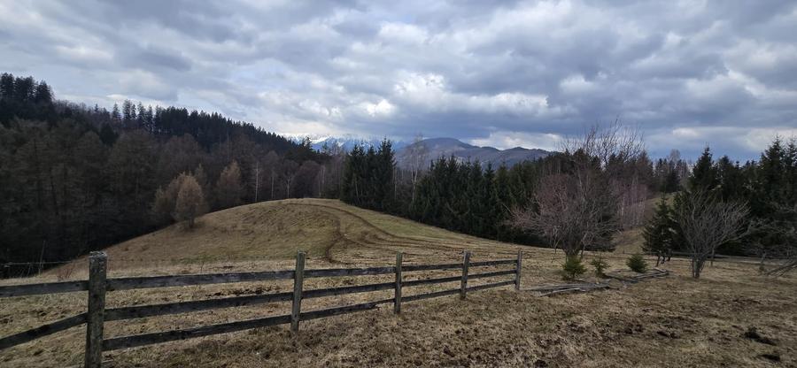 Teren Construcții intravilan de 3040 mp, în Bran