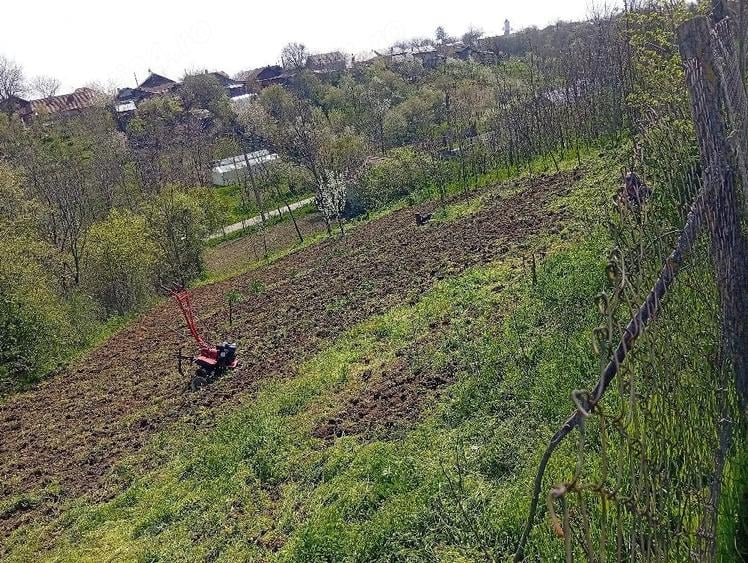 Teren de 860 mp, în Leu