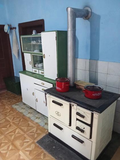 Casă cu Teren 4000 Mp în Ocoliș
