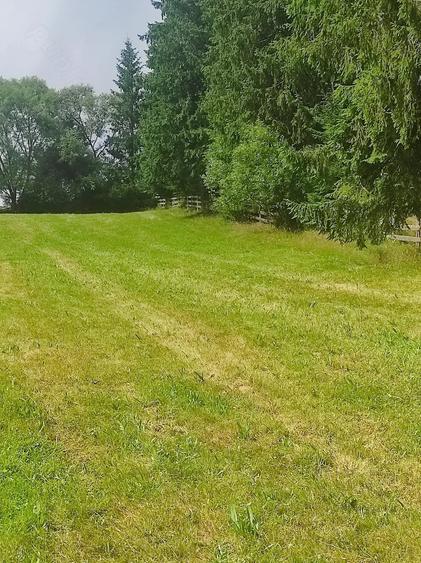 Teren de 3000 mp, în Beliș