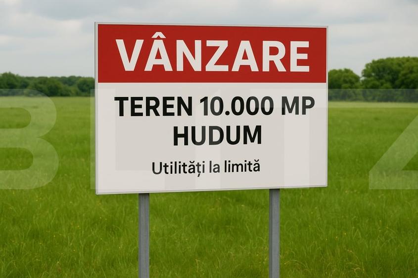 Teren Construcții intravilan de 10000 mp, în Curtești