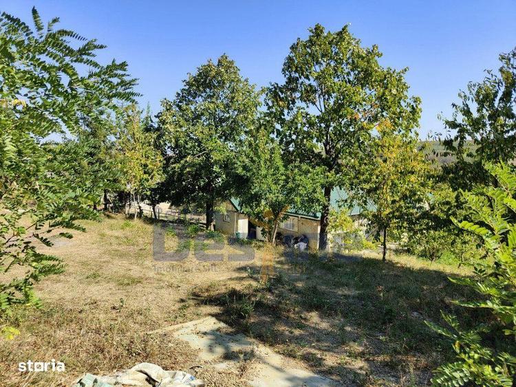 Casa langa PADURE + anexe + 6400 mp TEREN intravilan - sat HARPA?E - 11
