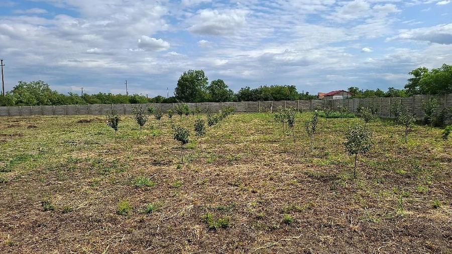 Teren de 1729 mp, în Ghilad