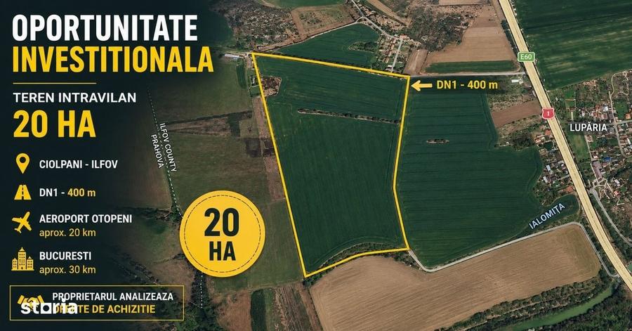 Ciolpani-Ilfov, Teren intravilan-20 ha - 6