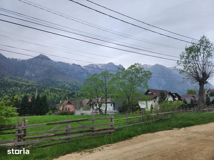 Teren de 2675 mp, în Poiana Țapului