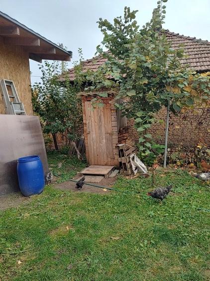 Casă cu 3 camere în Bujoreni