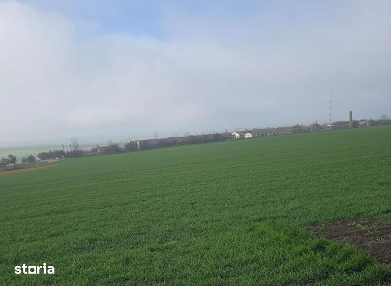 Teren de 95000 mp, în Beștepe