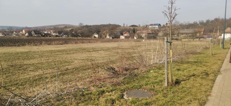 Teren Construcții extravilan de 1500 mp, în Băbuțiu