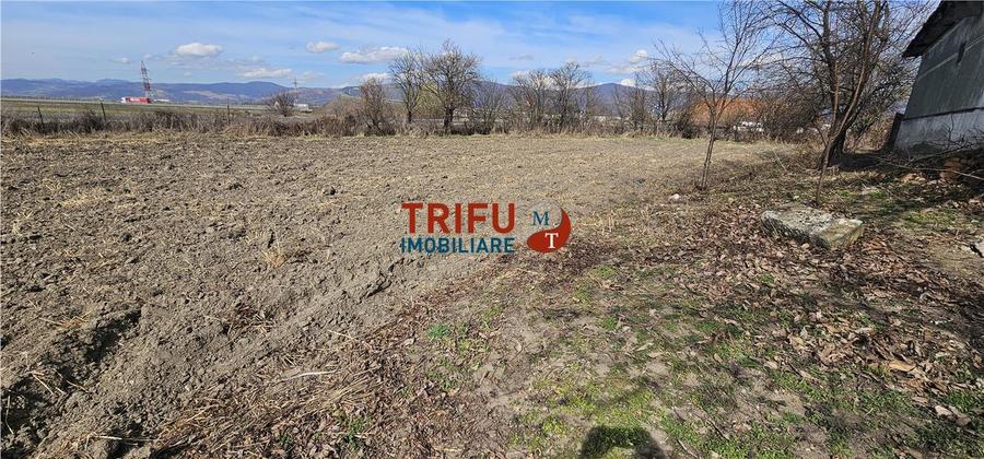 Teren Construcții intravilan de 8932 mp, în Șibot
