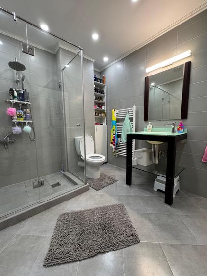 Penthouse cu 2 camere decomandat în Pietroasa