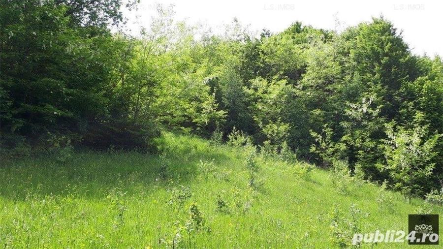 Teren de 14600 mp, în Albești