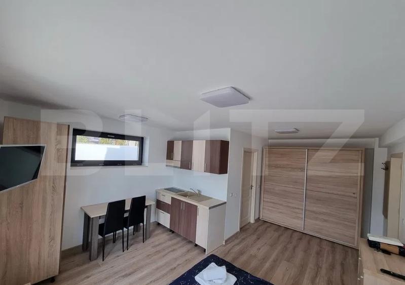 Garsonieră semidecomandată, mobilată în Bucium