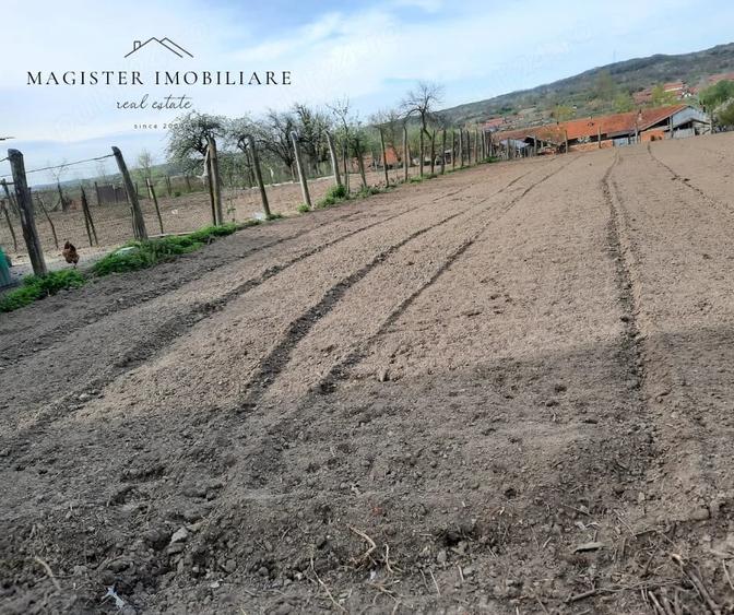 Casă cu 5 camere cu Teren 1600 Mp în Zorlențu Mare