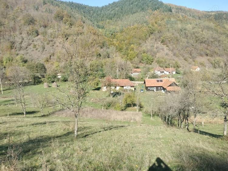 Teren de 3562 mp, în Vața de Sus