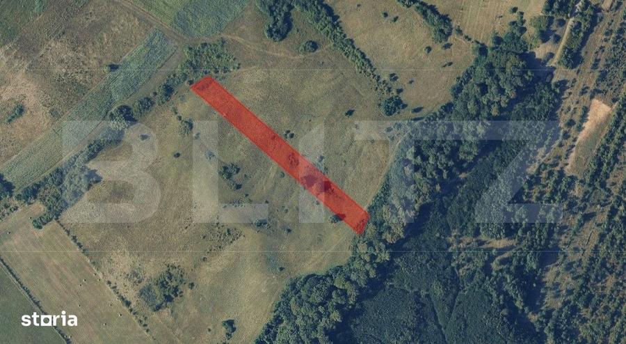 Teren extravilan de vanzare, 56 ari, zona Valea Stanelor - 1