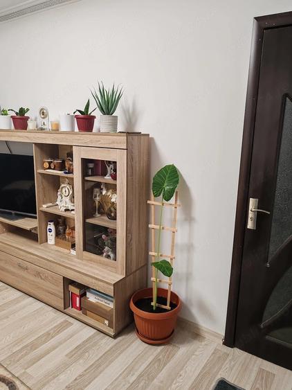 Apartament cu 4 camere semidecomandat în Central