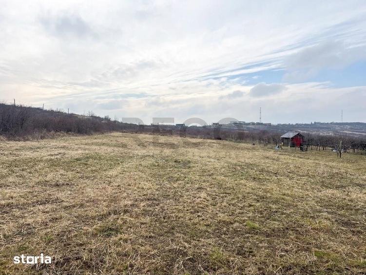 RECO teren intravilan in Oradea - 7