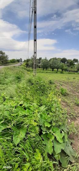 Teren de 13100 mp, în Vornicenii Mici